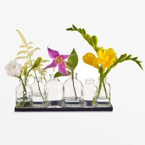 Buddy Glass Vase Set